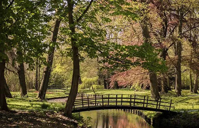 Het Rijswijkse bos
