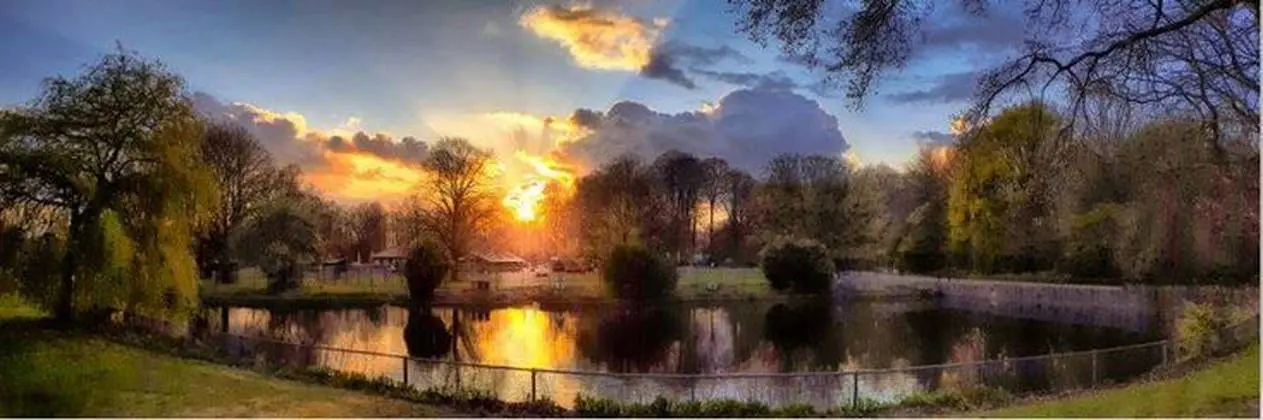 Het Rijswijkse bos bij zonsondergang 